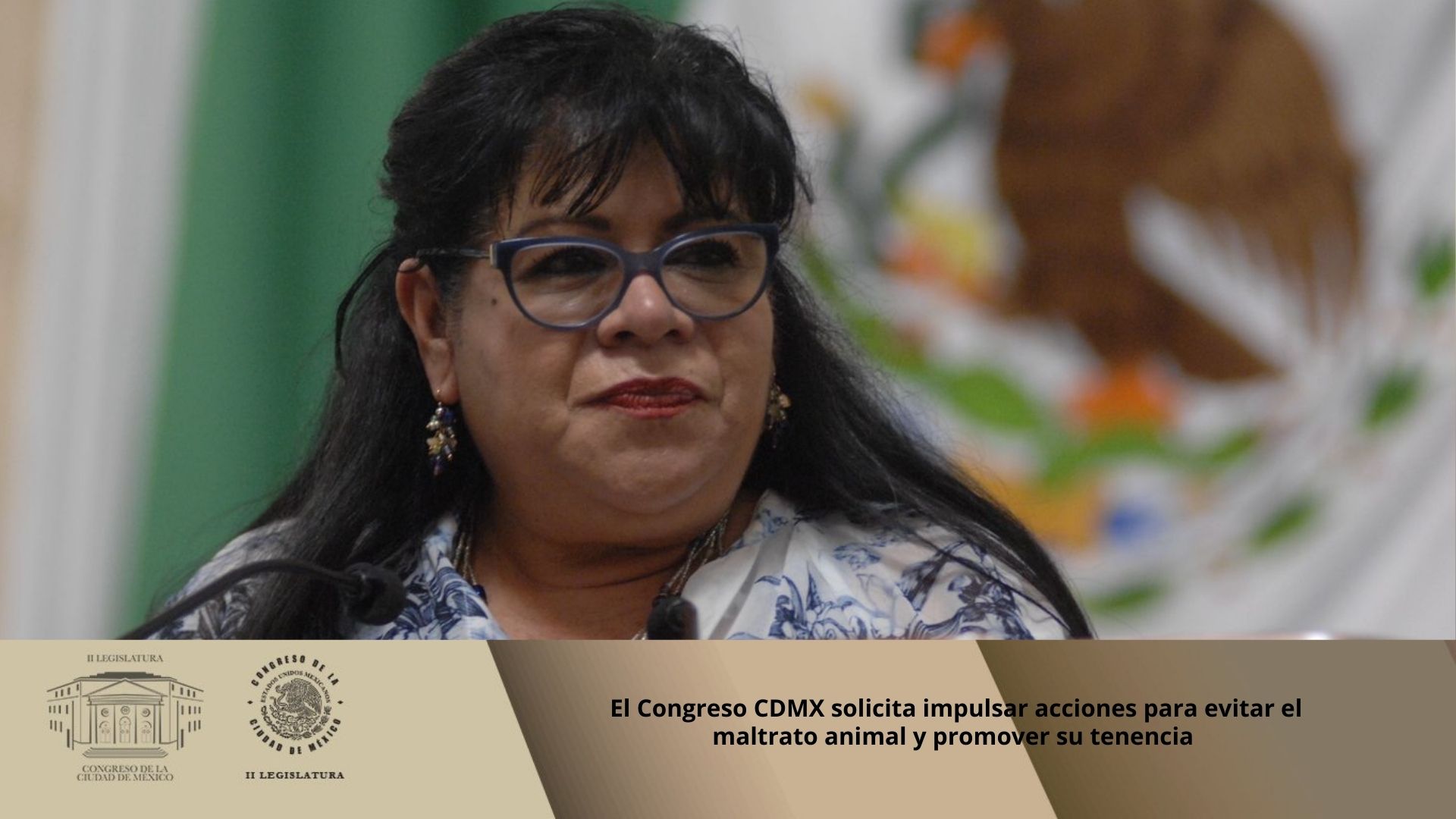 El Congreso CDMX solicita impulsar acciones para evitar el maltrato animal y promover su tenencia